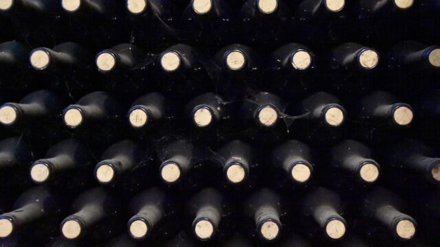 ワインセラーに横向きに並べて保管されている多数のワインボトル